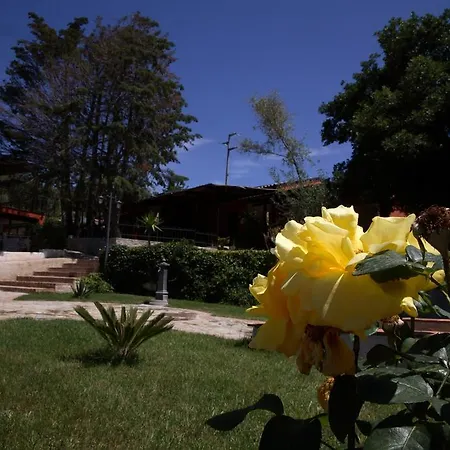מלון דירות Residenza Mediterranea זמברונה